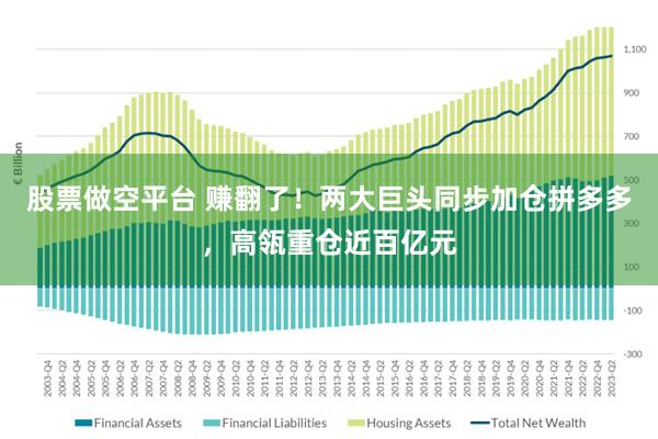 股票做空平台 赚翻了！两大巨头同步加仓拼多多，高瓴重仓近百亿元