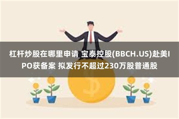 杠杆炒股在哪里申请 宝泰控股(BBCH.US)赴美IPO获备案 拟发行不超过230万股普通股