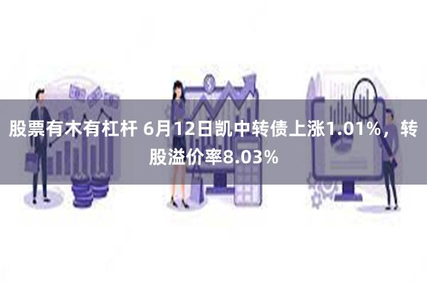 股票有木有杠杆 6月12日凯中转债上涨1.01%，转股溢价率8.03%