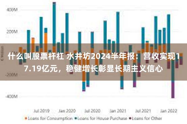 什么叫股票杆杠 水井坊2024半年报：营收实现17.19亿元，稳健增长彰显长期主义信心