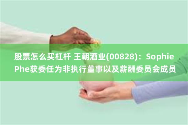 股票怎么买杠杆 王朝酒业(00828)：Sophie Phe获委任为非执行董事以及薪酬委员会成员