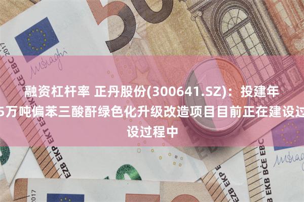 融资杠杆率 正丹股份(300641.SZ)：投建年产6.5万吨偏苯三酸酐绿色化升级改造项目目前正在建设过程中