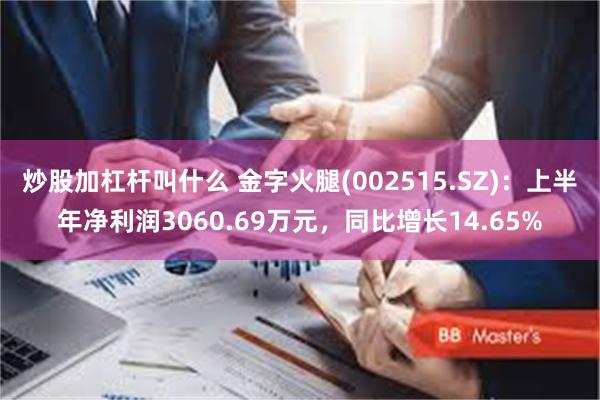 炒股加杠杆叫什么 金字火腿(002515.SZ)：上半年净利润3060.69万元，同比增长14.65%