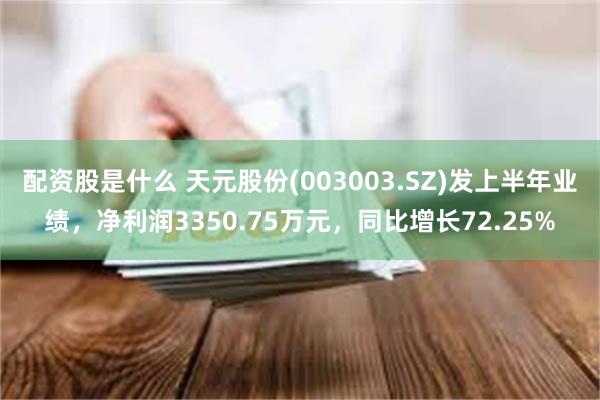 配资股是什么 天元股份(003003.SZ)发上半年业绩，净利润3350.75万元，同比增长72.25%