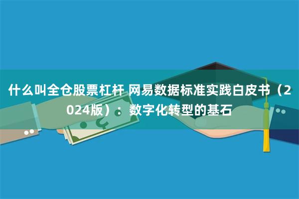 什么叫全仓股票杠杆 网易数据标准实践白皮书（2024版）：数字化转型的基石