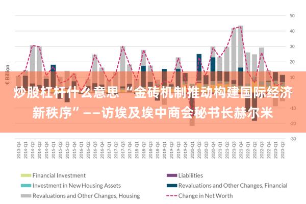 炒股杠杆什么意思 “金砖机制推动构建国际经济新秩序”——访埃及埃中商会秘书长赫尔米