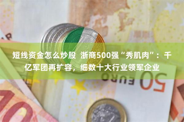 短线资金怎么炒股  浙商500强“秀肌肉”：千亿军团再扩容，细数十大行业领军企业