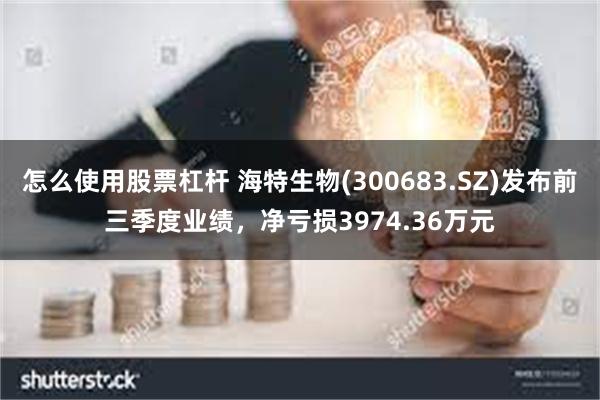 怎么使用股票杠杆 海特生物(300683.SZ)发布前三季度业绩，净亏损3974.36万元