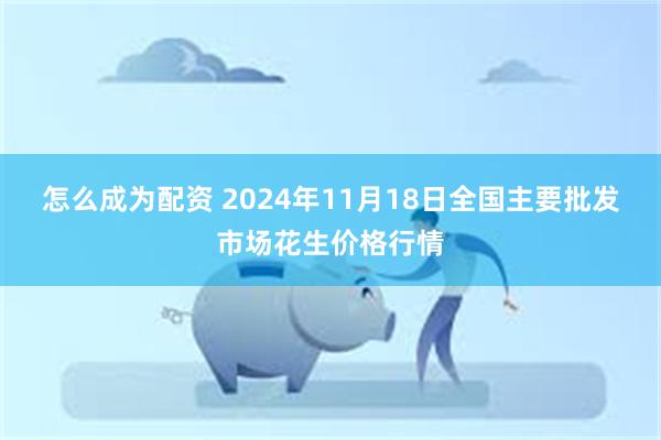 怎么成为配资 2024年11月18日全国主要批发市场花生价格行情