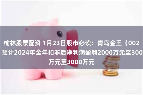 榆林股票配资 1月23日股市必读：青岛金王（002094）预计2024年全年扣非后净利润盈利2000万元至3000万元