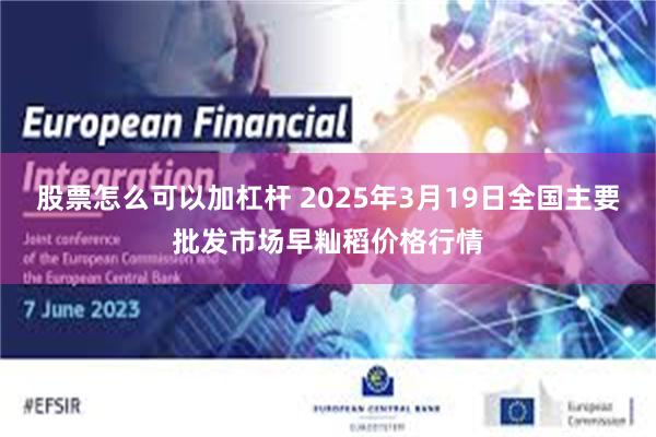 股票怎么可以加杠杆 2025年3月19日全国主要批发市场早籼稻价格行情